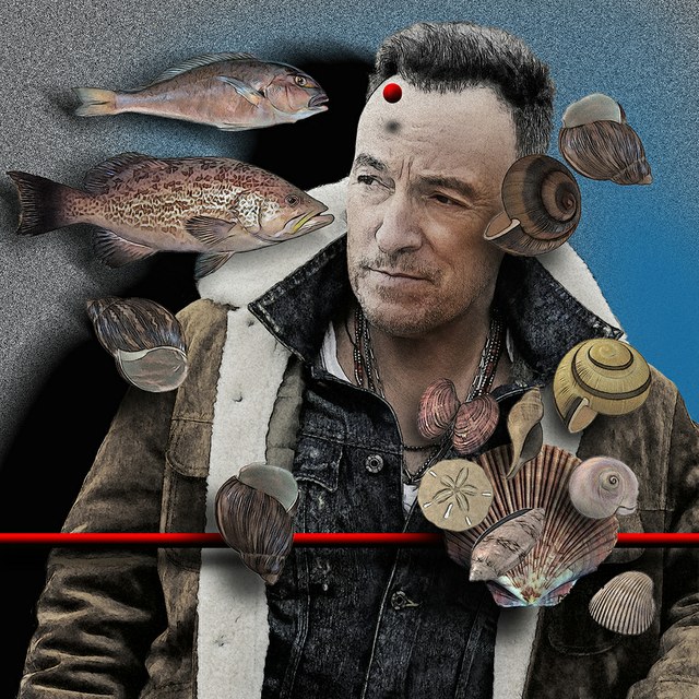 Bruce Springsteen - slika Zorana Mujbegovica
