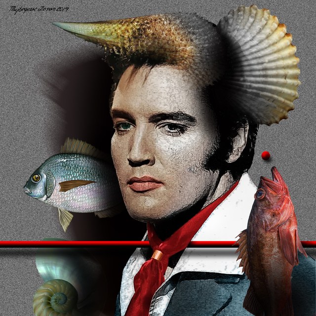 Elvis Presley - slika Zorana Mujbegovica