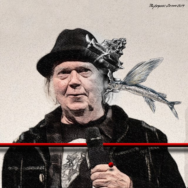 Neil Young - slika Zorana Mujbegovića