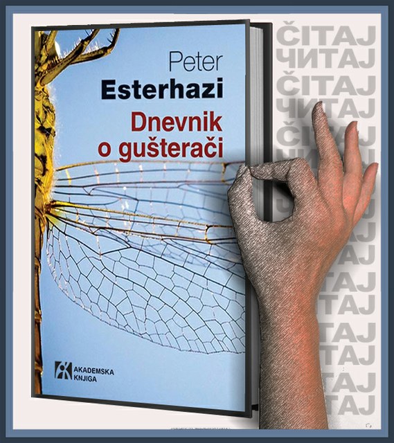 Peter Esterhazi - Dnevnik o gušterači (ilustracija)