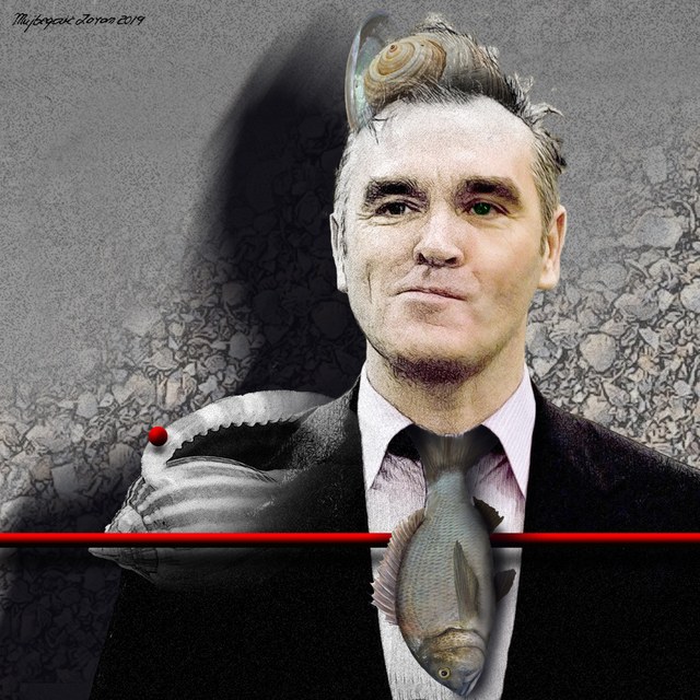Steven Morrissey slika Zorana Mujbegovica