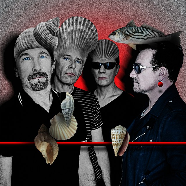U2 - slika Zorana Mujbegovica